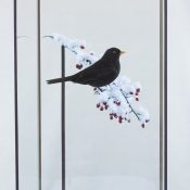 Blackbird by Jack Fishwick