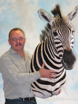 Zebra Head by Dave Hollingworth 2003