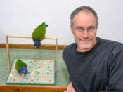 Blue-headed Parrots by Colin Scott 2008