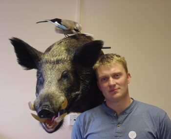 Wild Boar with Jay by Carl Church 2001