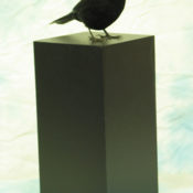Blackbird by Jack Fishwick 2004