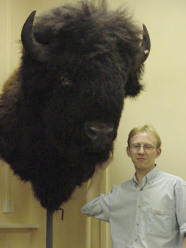 Bison Head by Gary Tatterton 2000