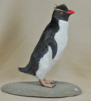 Penguin by Dave Hollingworth 2009