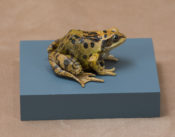 Frog by James Dickinson