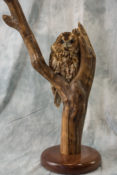 Tawny Owl by Martin Bourne