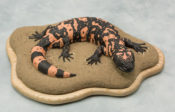 Gila Monster by Emilie Woodford