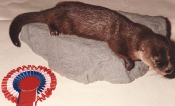 Otter by Peter Summers 1985
