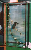 Kingfisher by Derek Frampton 1999