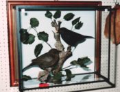 Blackbirds by Gary Tatterton 1993