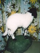 Lamb by Gary Tatterton 1995