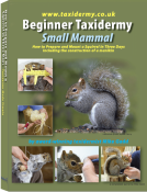 Mike Gadd's Beginner Taxidermy Small Mammal Book
