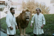 Lion by Ian Hutchison & Barry Sutton
