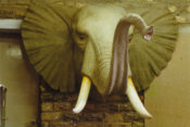 Elephant Head Sculpture by Mike Gadd