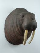 Walrus Sculpture by Mike Gadd
