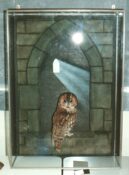 Tawny Owl by Phil Leggett 1989