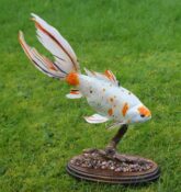 Goldfish by Colin Scott