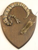 Python & Mouse by Colin Scott